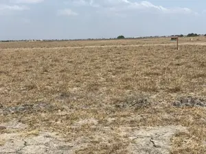Move Smart and Secure a Genuine Land Today
