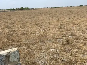 Get Yourself a Genuine Plot of Land in a Serene Environment