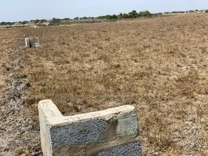 Get Yourself a Genuine Plot of Land in a Serene Environment