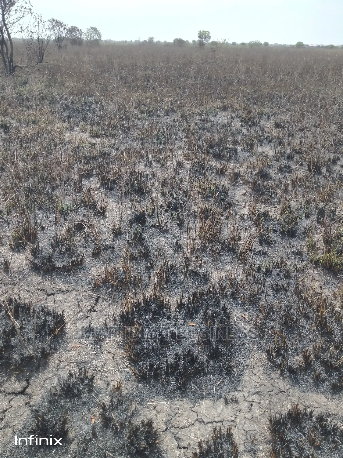 70 by 100 Titled and Genuine Land at Dawhenya