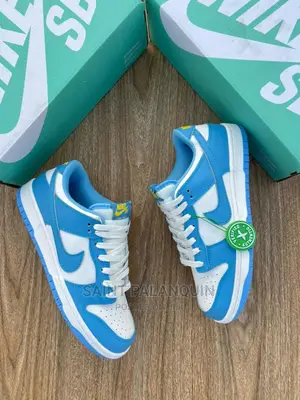 Nike Sb Dunk