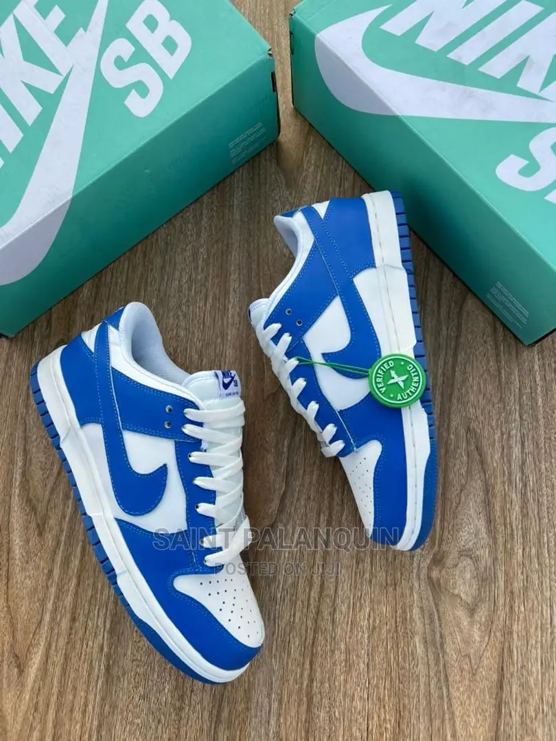 Nike Sb Low Dunk