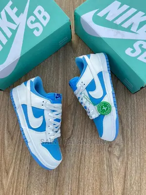 Nike Sb Low Dunk