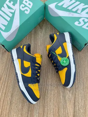 Nike Sb Low