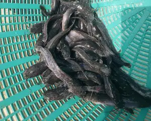 Post Fingerling