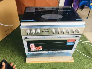 Ferre 4*2 Gas/Electric Cooker