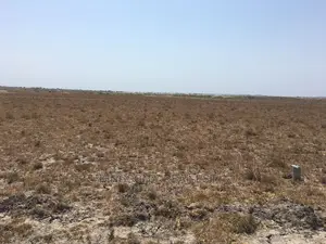 Suitable Land