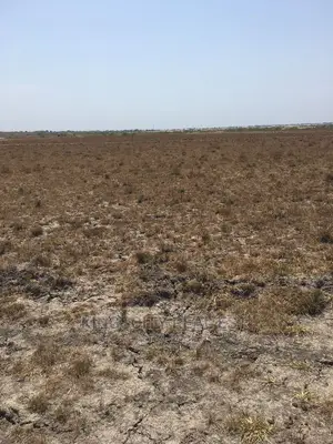 Suitable Land