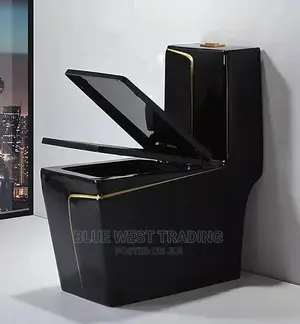 Black and Gold Water Closet