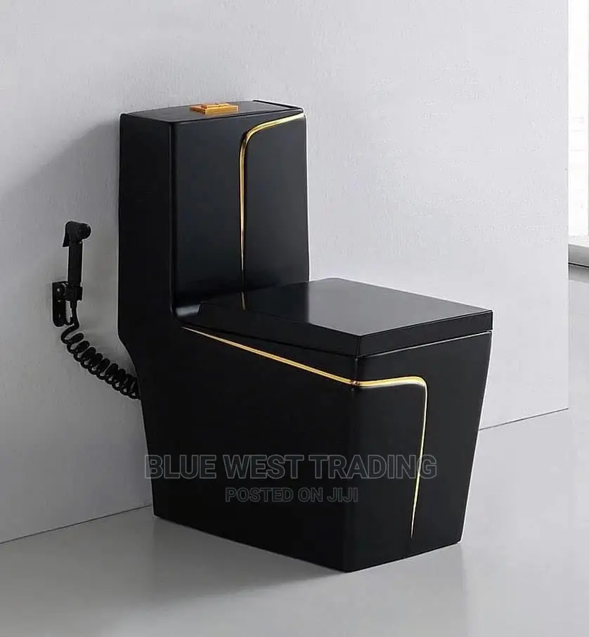 Black and Gold Water Closet
