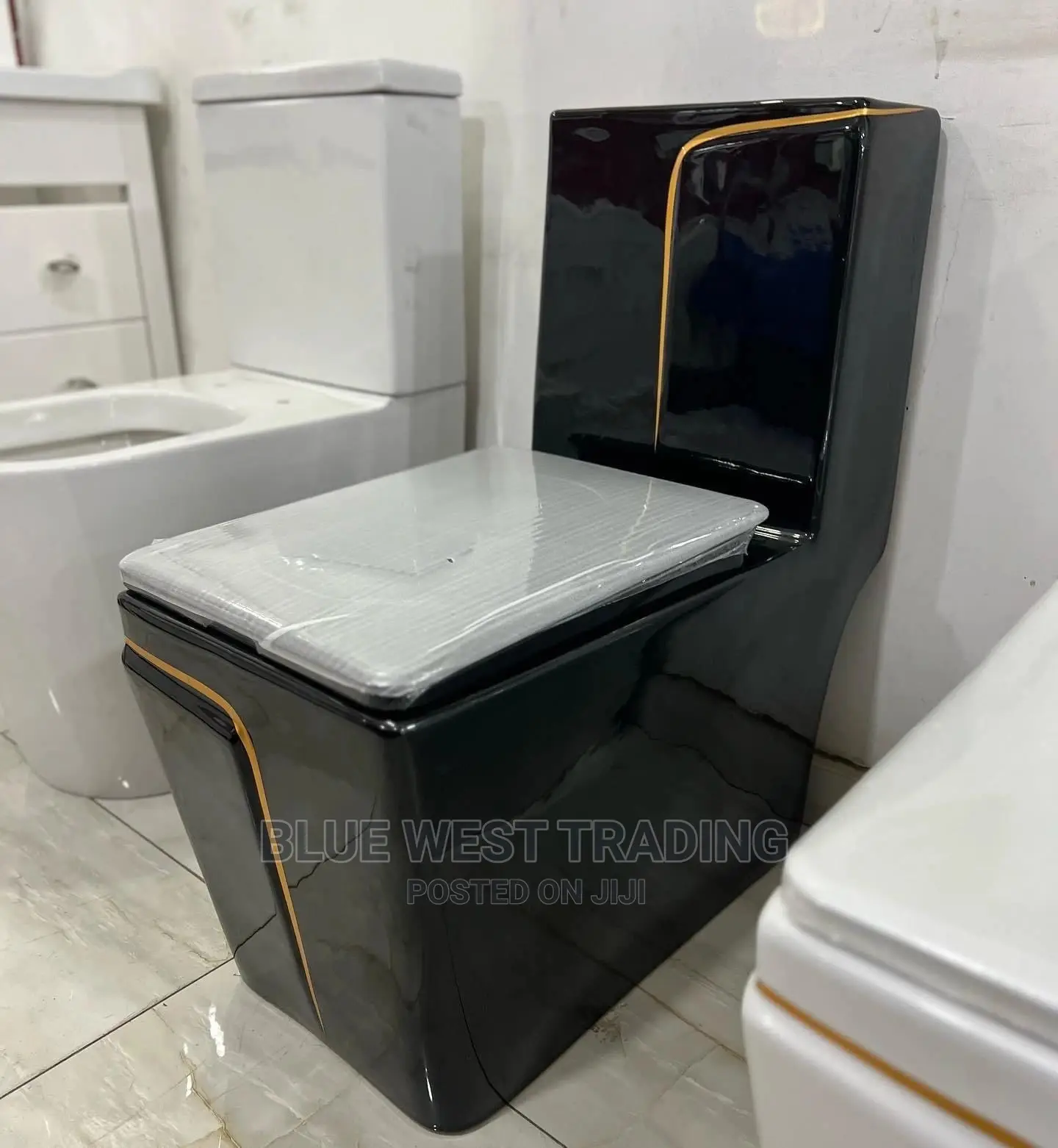 Black and Gold Water Closet