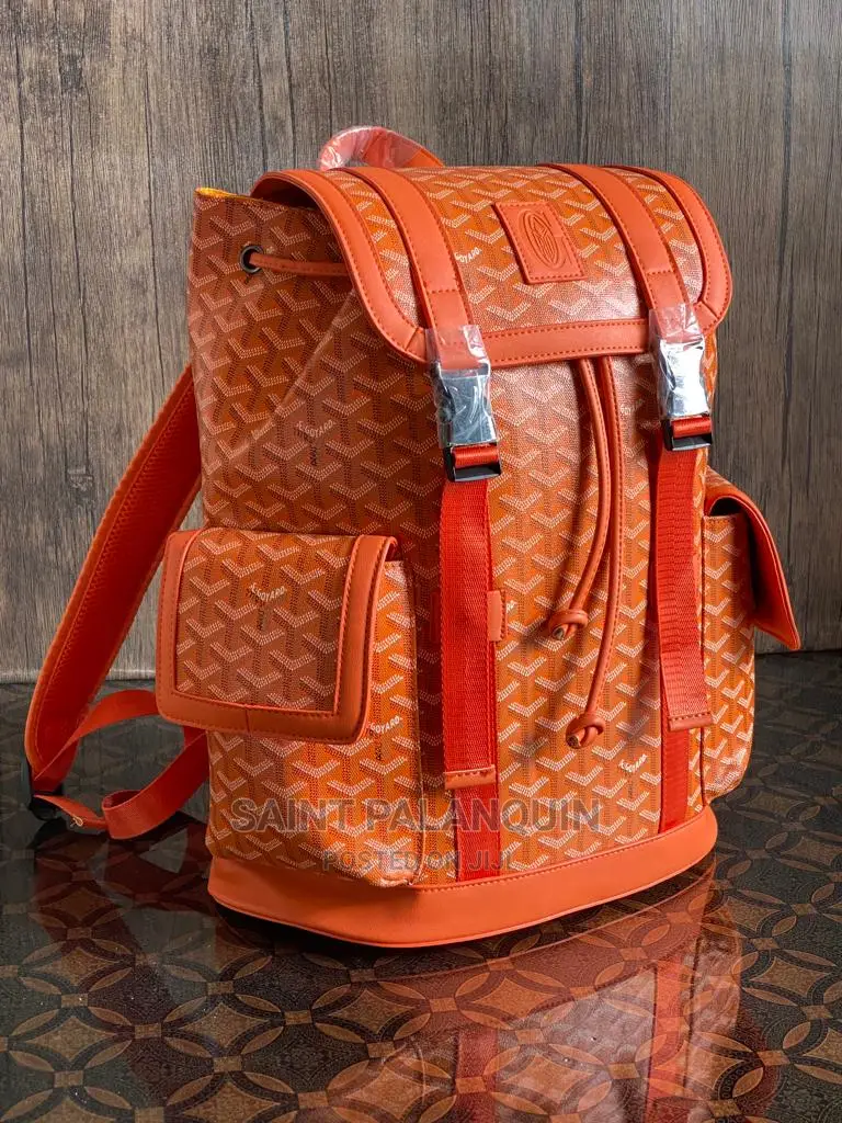 Goyard Backpack