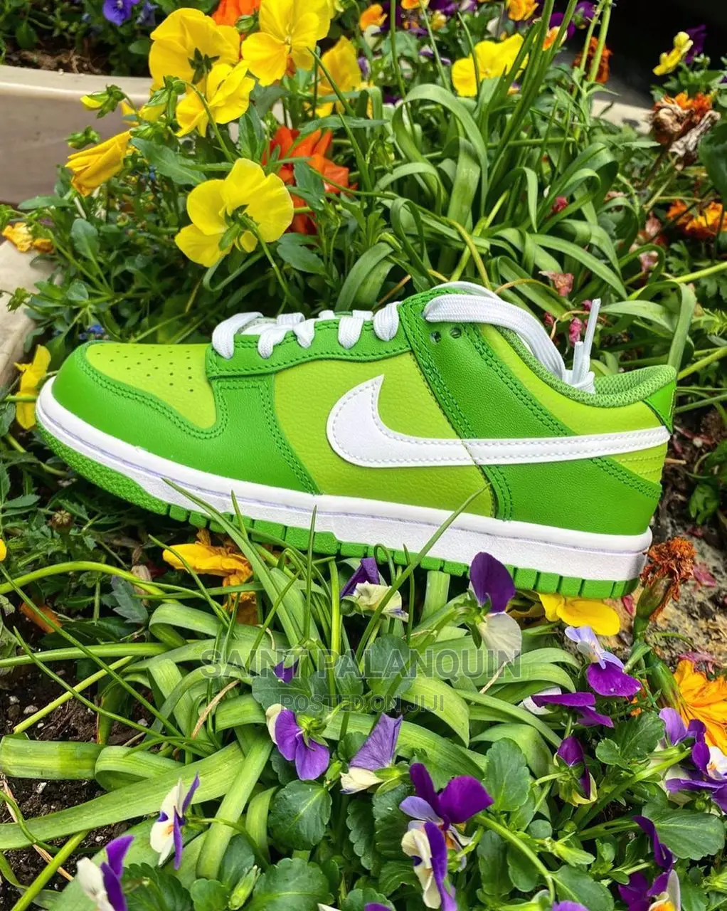 Nike Sb Dunk