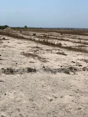 To Become and Landlord You Must First Own a Gbeuine Land.