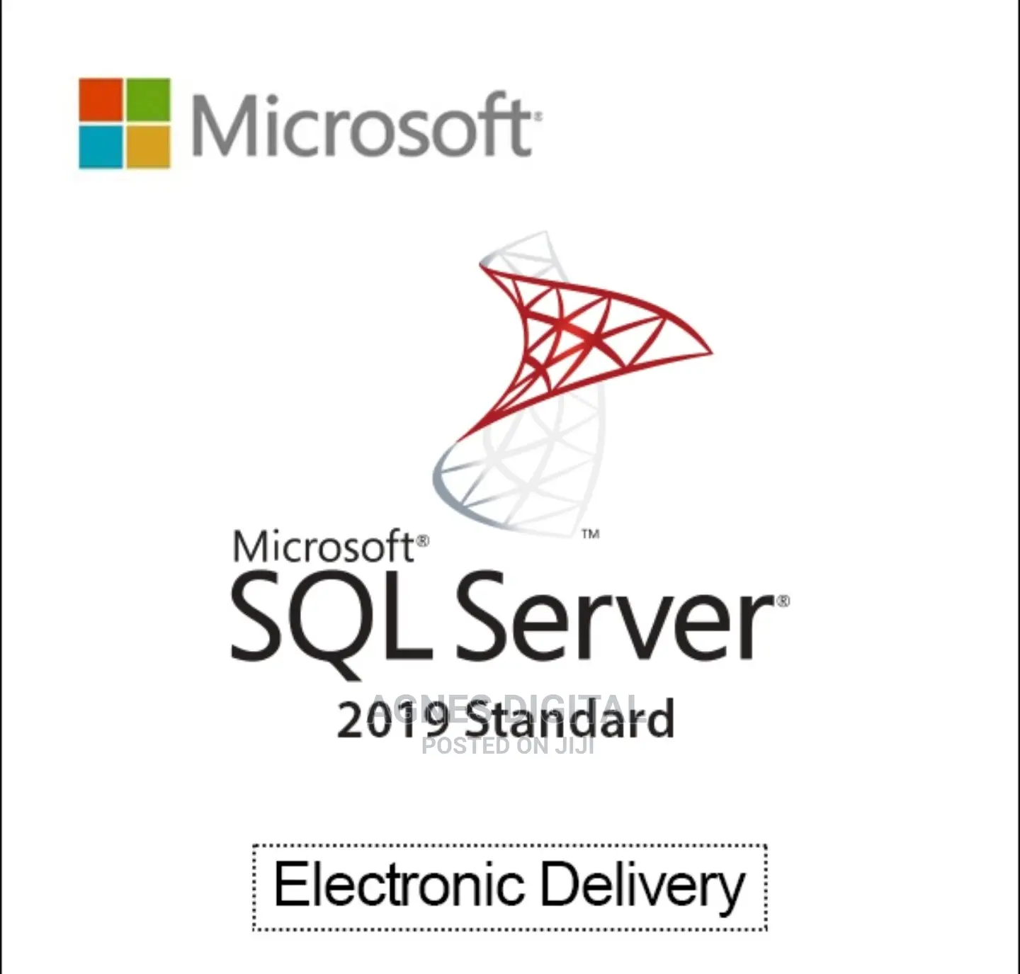Microsoft SQL Server 2019 (Email Delivery)