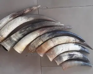 Powerful Horn