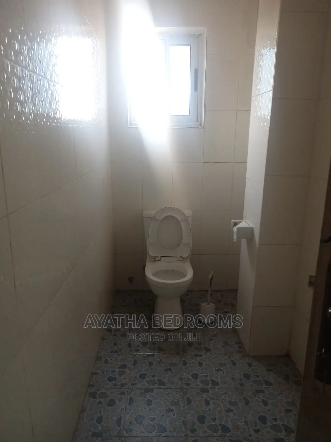 2bdrm Apartment in Ayathar Bedroom, Tseaddo for Rent