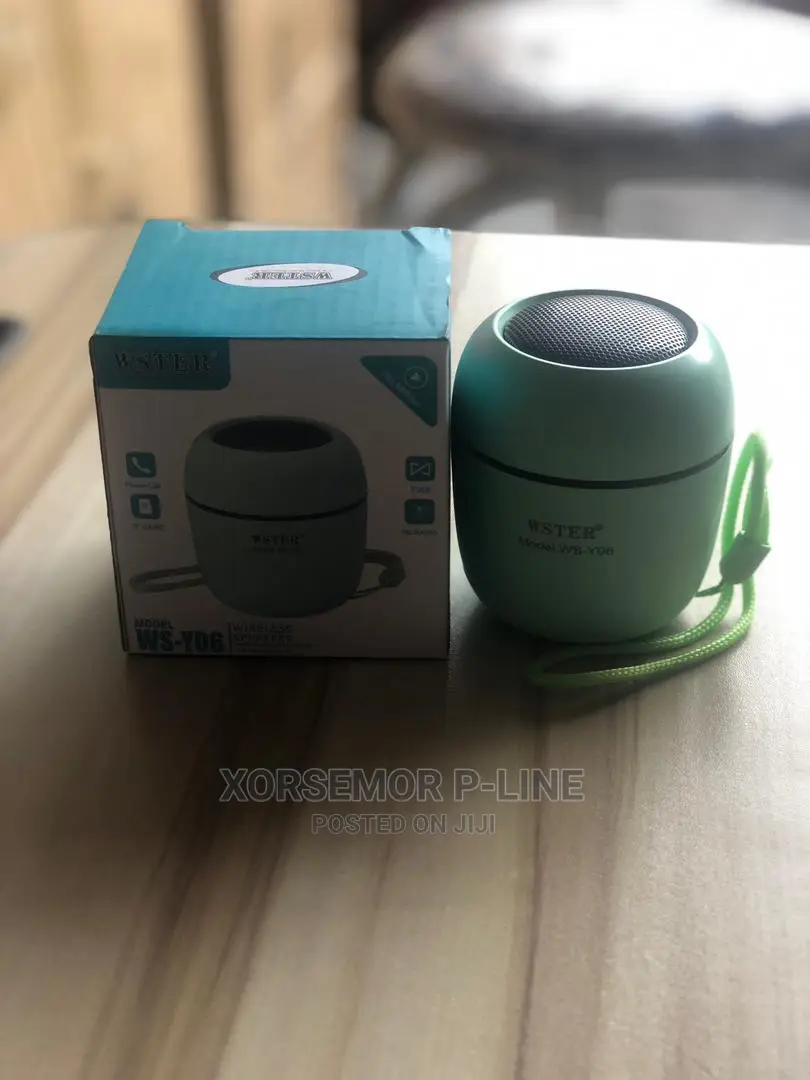 Ws-Y06 Mp3/4 Music Player