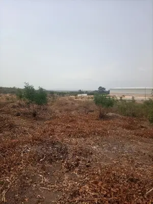 Alpha Properties Estate Land for Sale at Akoti Kweikrom