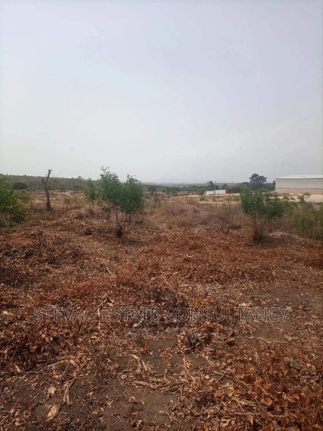 Alpha Properties Estate Land For Sale At Akoti Kweikrom
