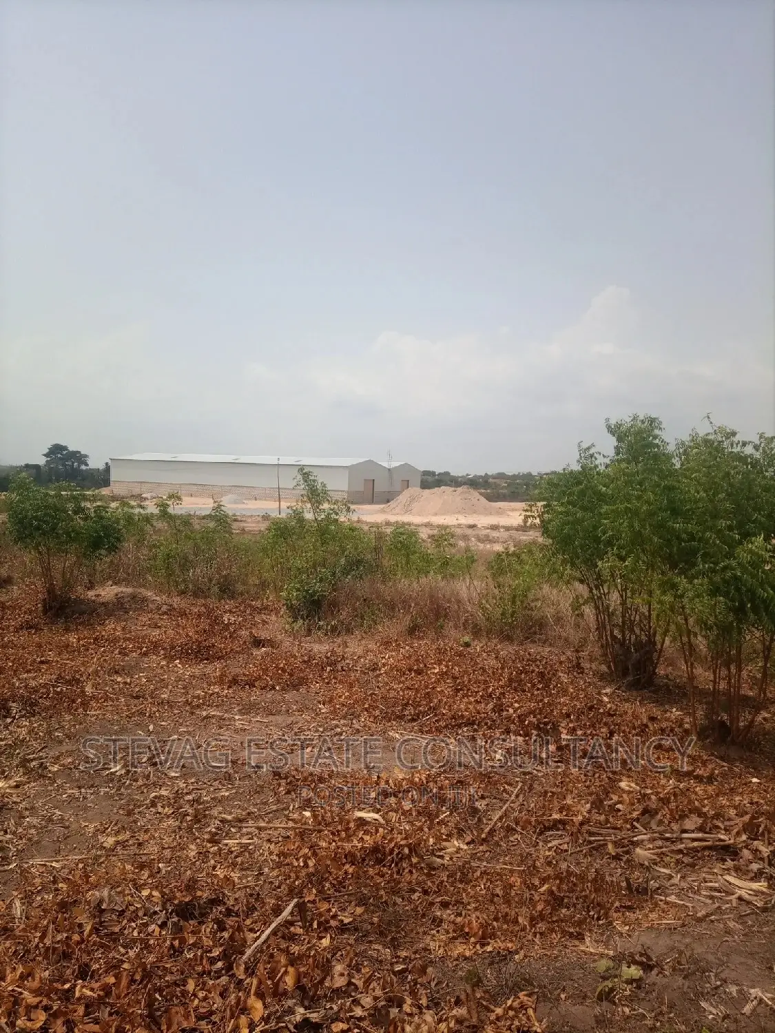 Affordable Estate Company Land for Sale at Winneba Township