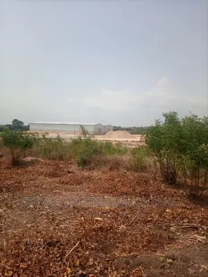 Affordable Estate Company Land for Sale at Winneba Township