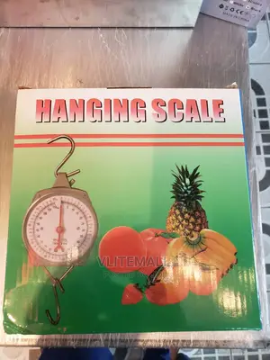 Hanging Scale