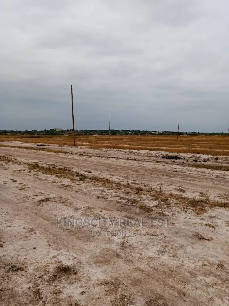 Genuine Land