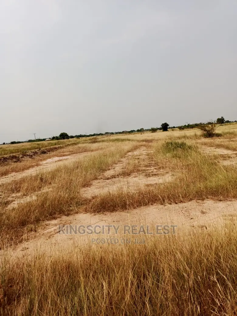 Invest and Secure Your Future With Land