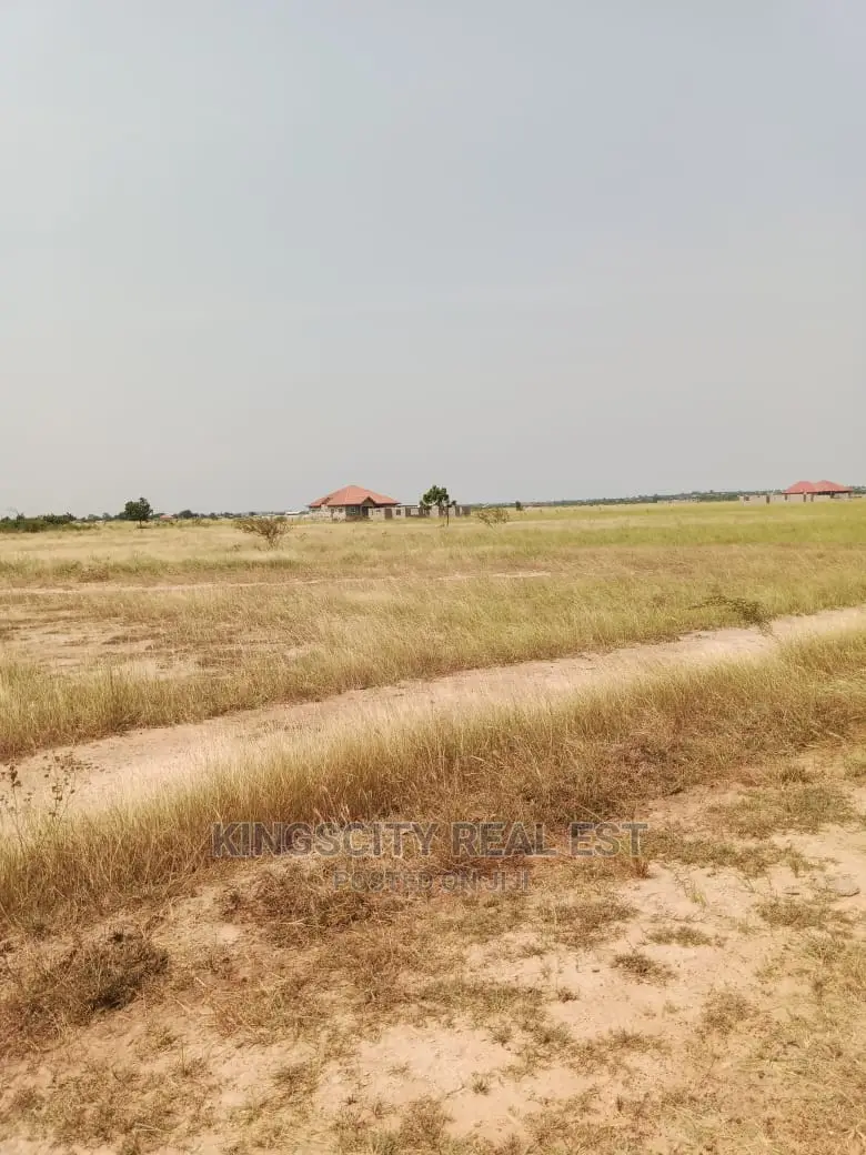 Invest and Secure Your Future With Land