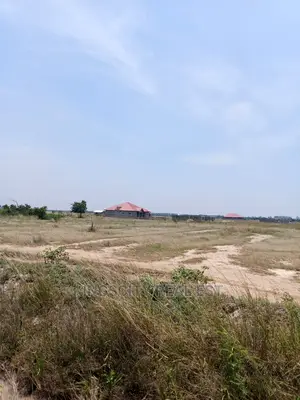 Invest and Secure Your Future With Land
