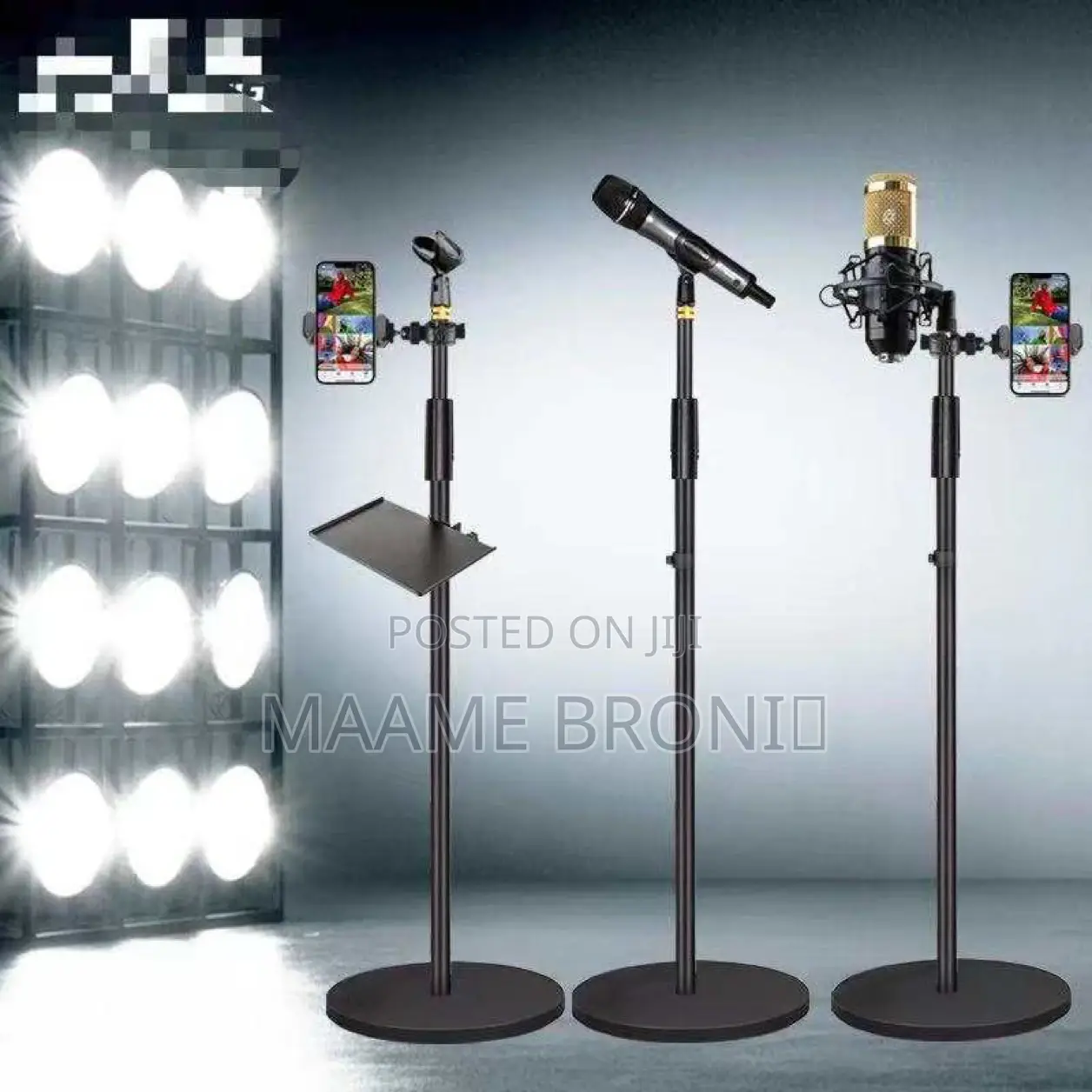 Modern Microphone Stand