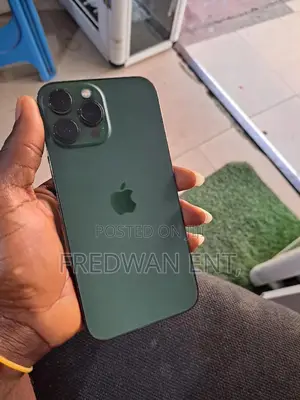 Apple iPhone 13 Pro Max 256 GB Green