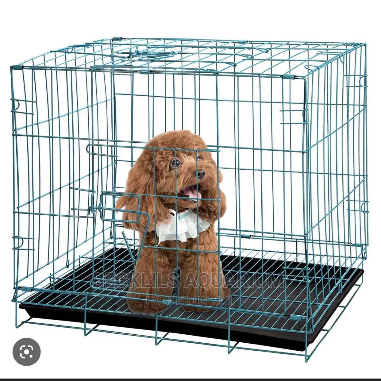 Cages For Dogs And Cat