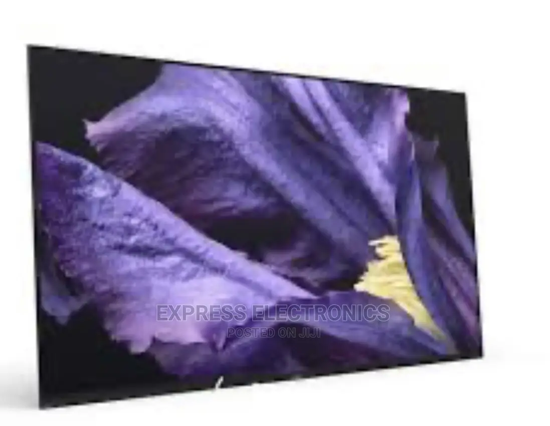 Sony Pixel Contrast Booster Enhances Color 65A9G UHD OLED