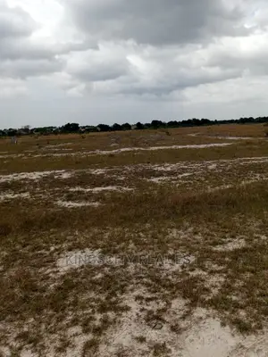 Fresh Land
