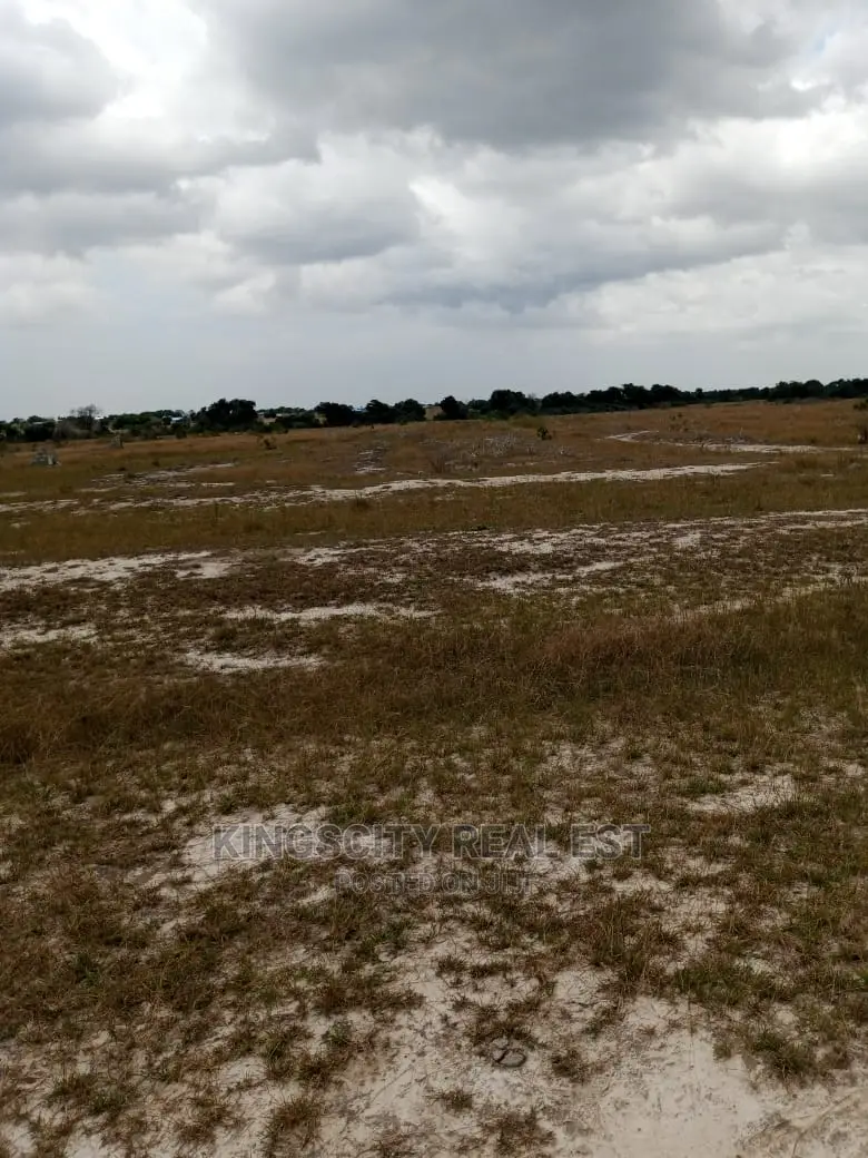 Fresh Land