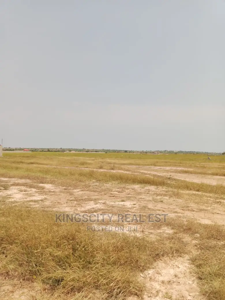 Peaceful Land