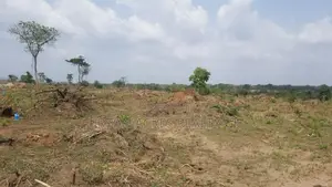 Gt/Accra - Dodowa, (Opata) _ 200 Acres of Building Land