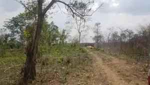 Gt/Accra - Dodowa, (Opata) _ 200 Acres of Building Land