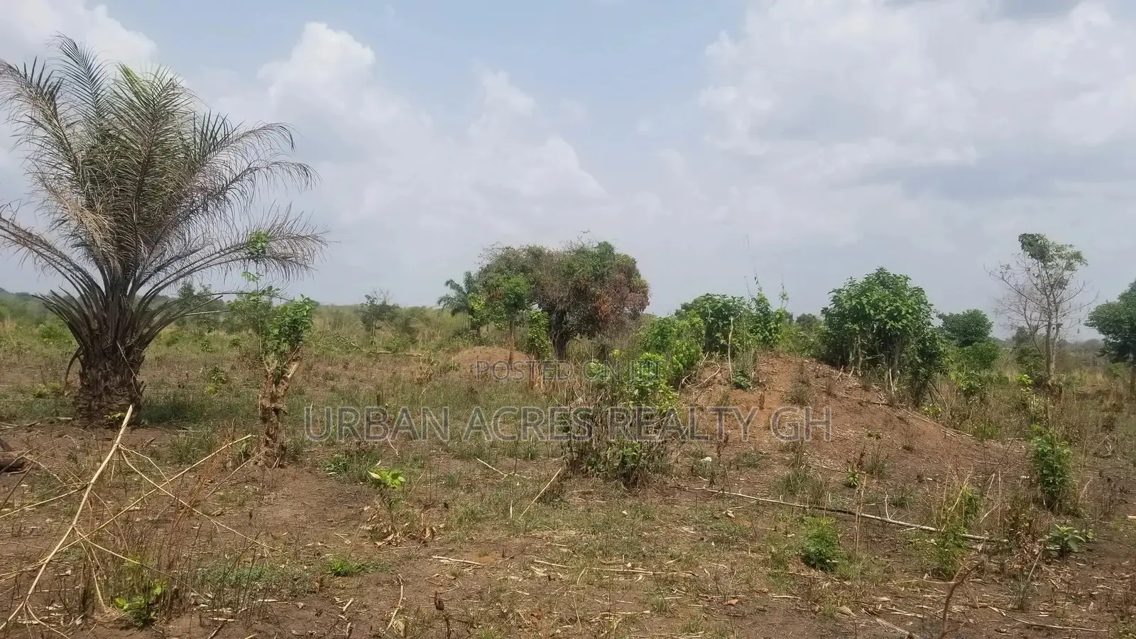 Gt/Accra - Dodowa, (Opata) _ 200 Acres of Building Land