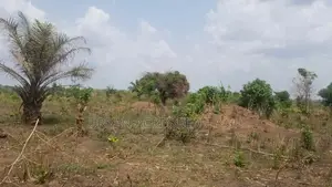 Gt/Accra - Dodowa, (Opata) _ 200 Acres of Building Land