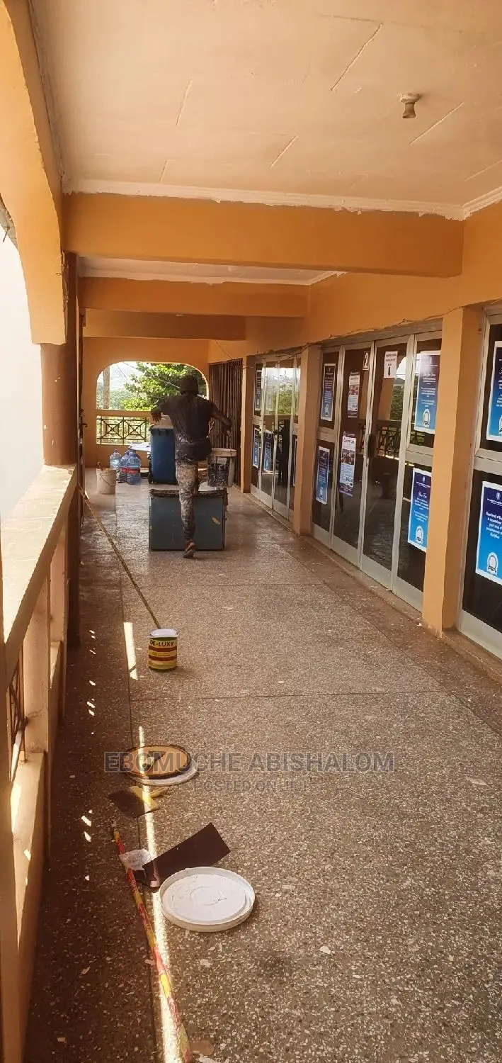 Professional, Painter, Skimming,Grafiato and Well Treatment