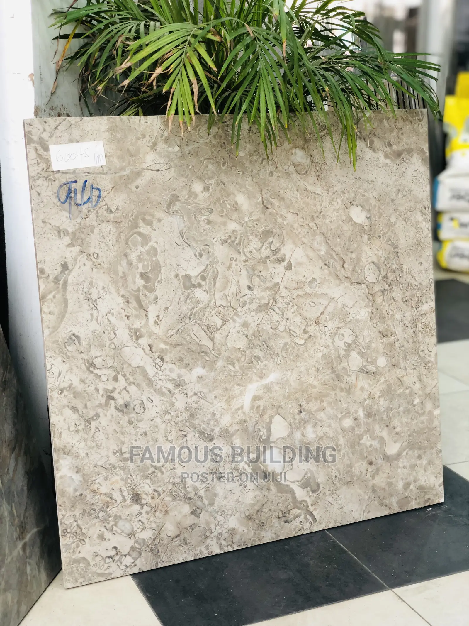 Porcelain 60/60 Floor Tiles