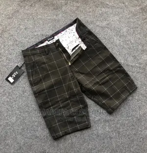 Zara Shorts