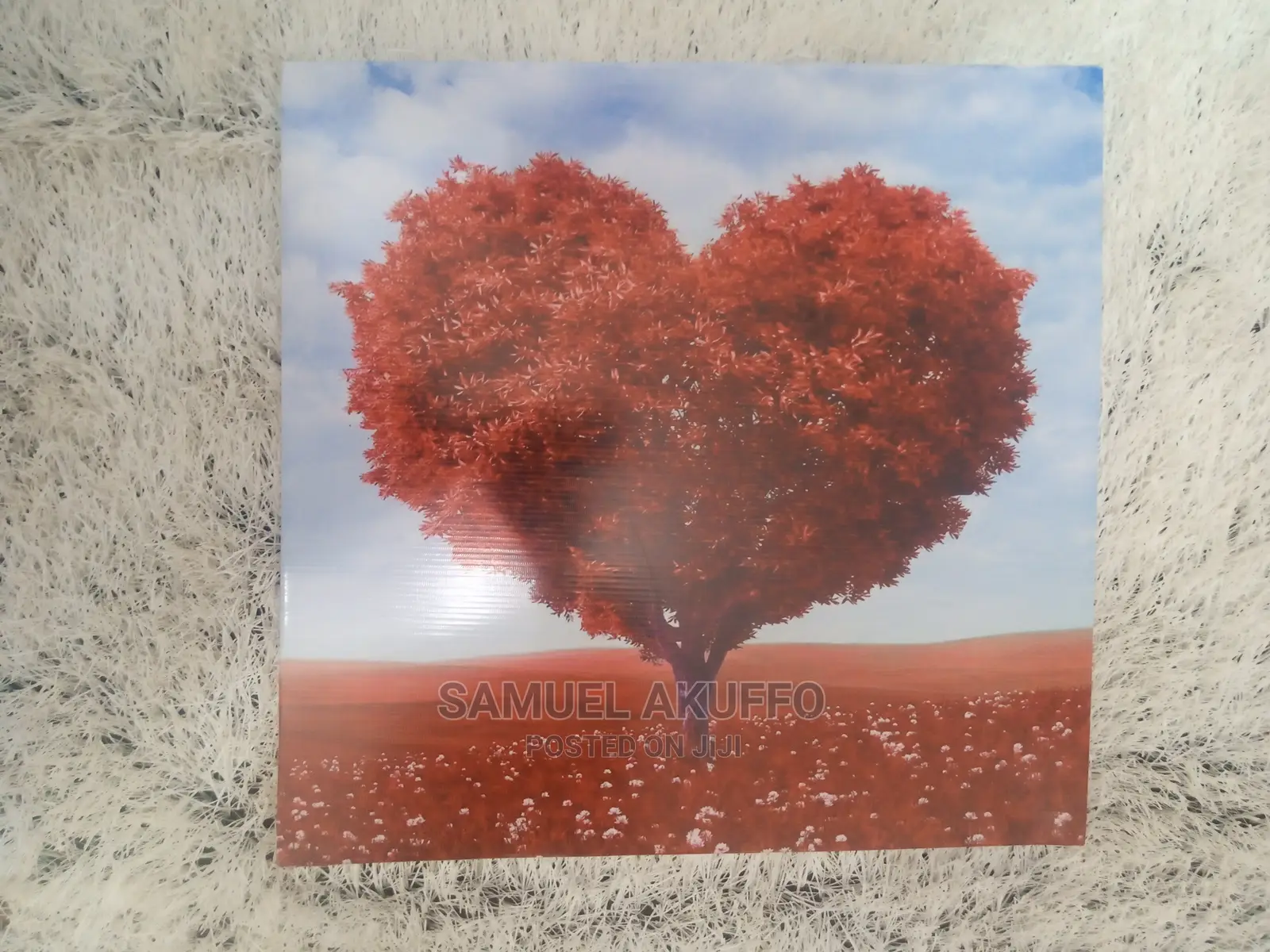 Photo Frames/Wall Frames/Canvas Frames at Affordable Prices