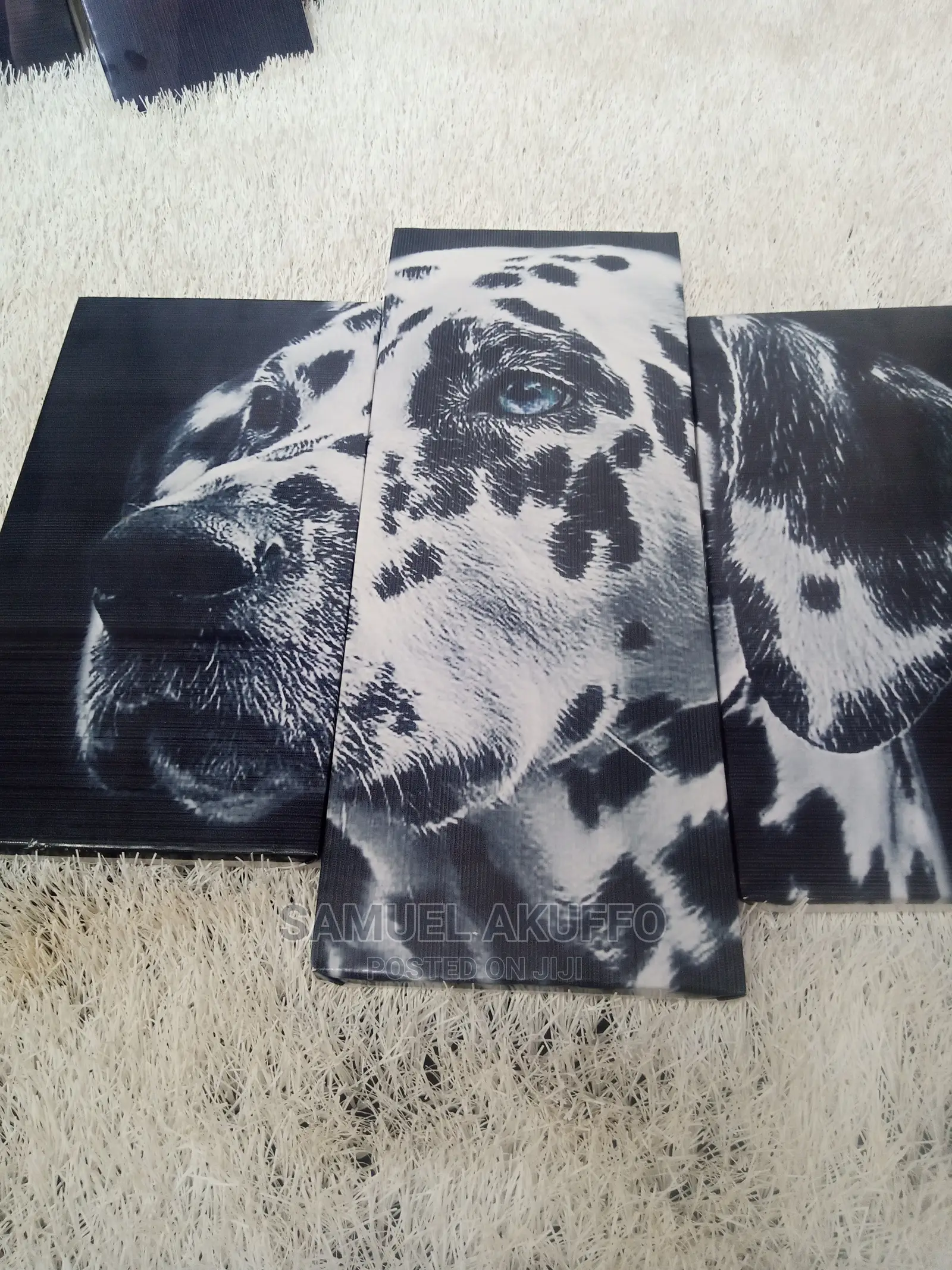 Photo Frames/Wall Frames/Canvas Frames at Affordable Prices