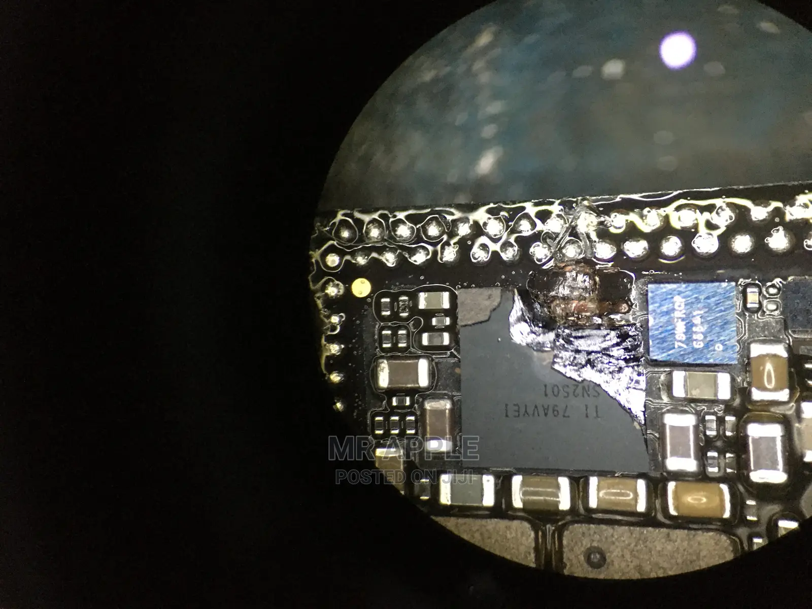 Microscope