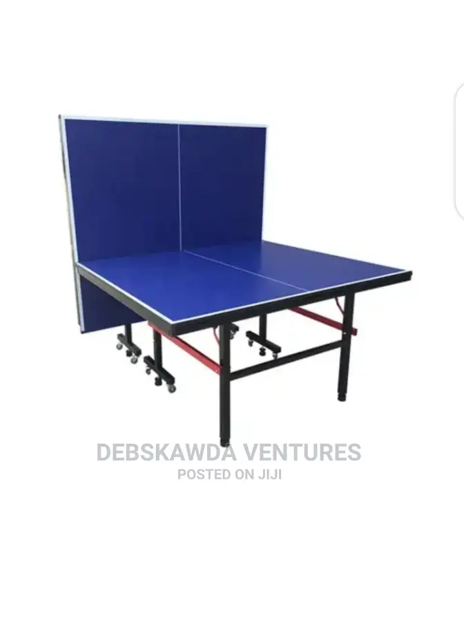 Table Tennis Pro (9ft Foldable) Indoor