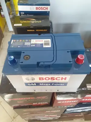 Original Battery - Bosch Step Down Type